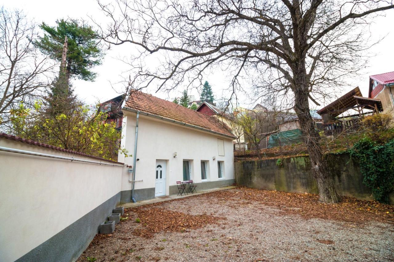Crisan Residence - Vila Crisan Брашов Экстерьер фото